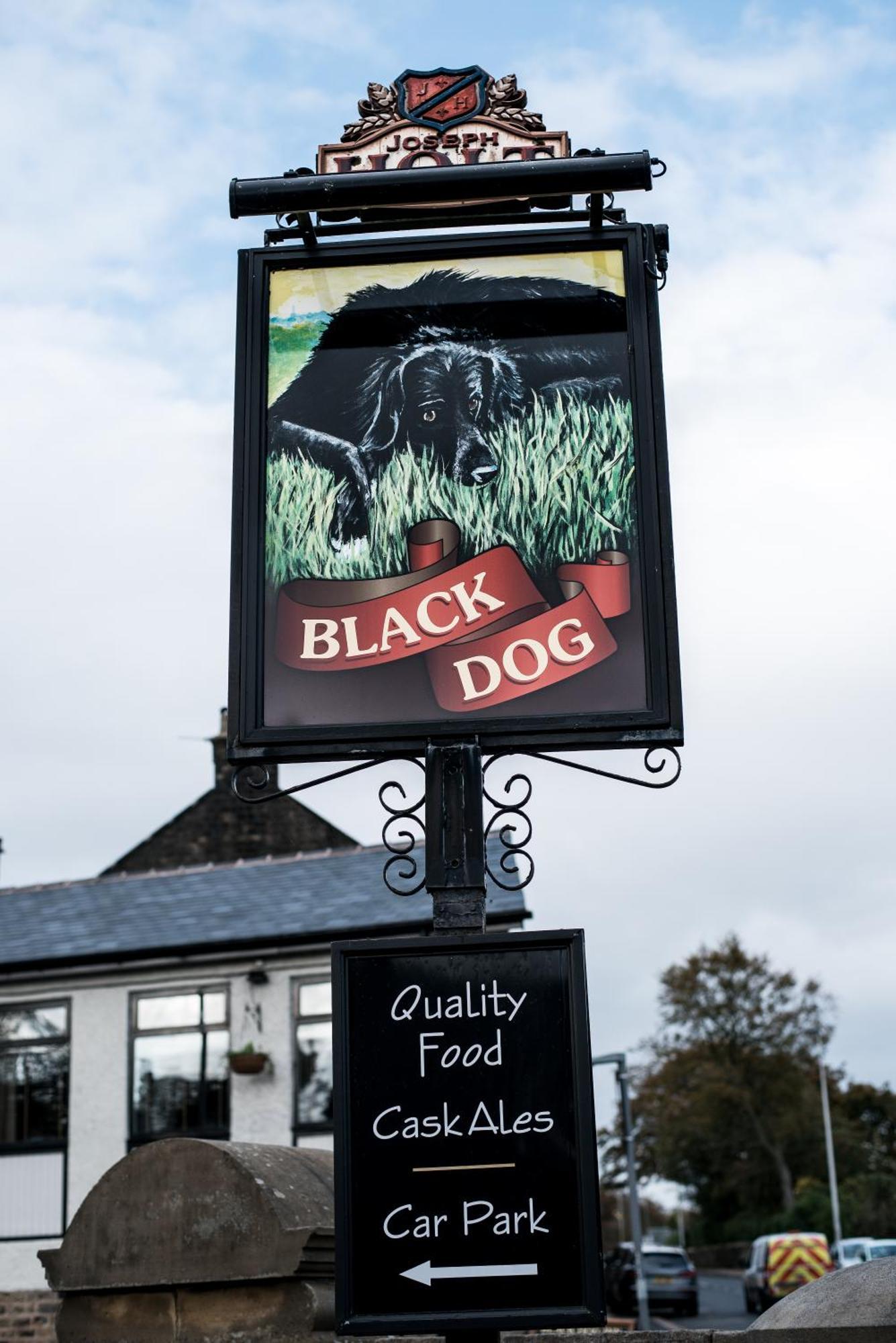 Black Dog