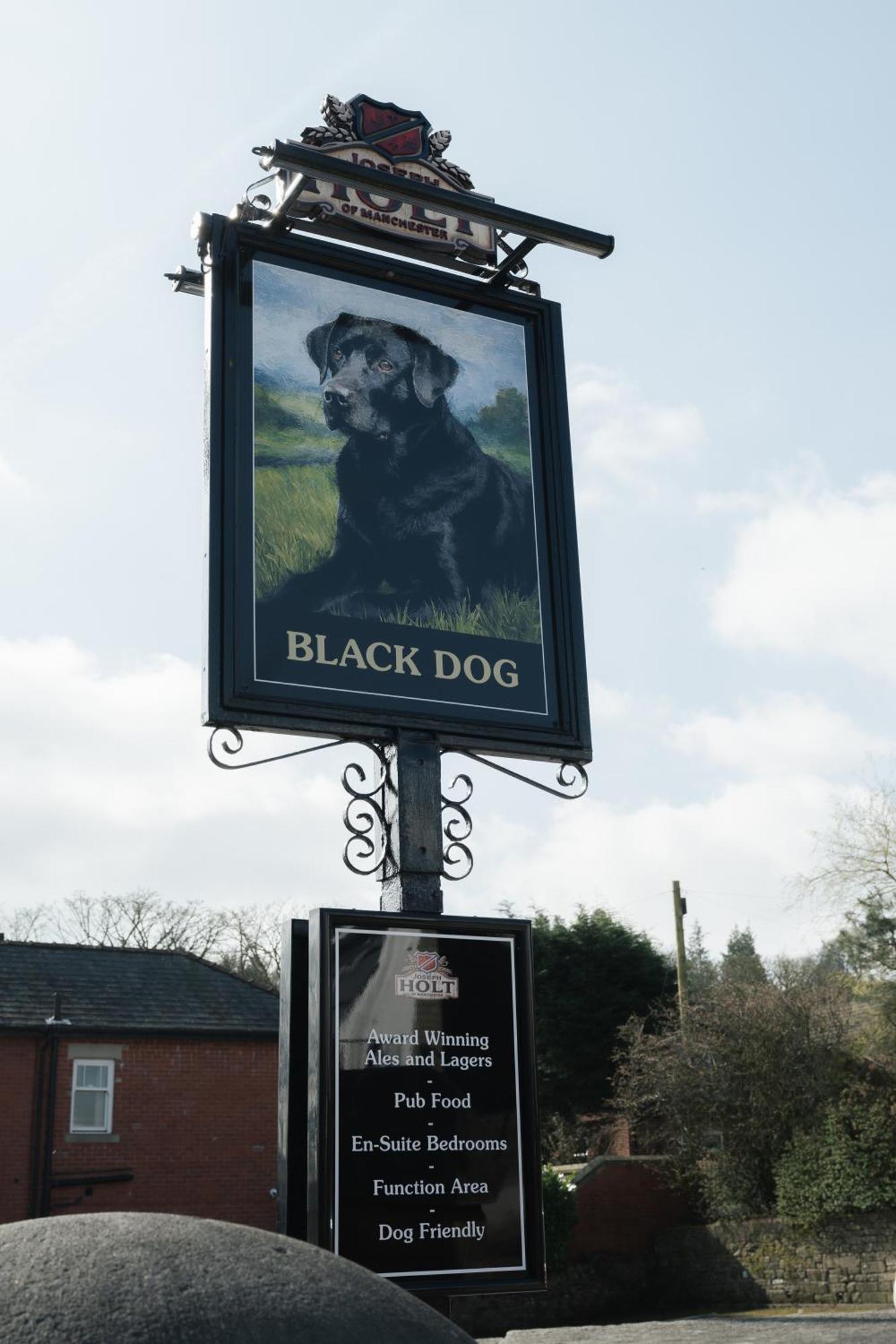 Black Dog Mini-hôtel